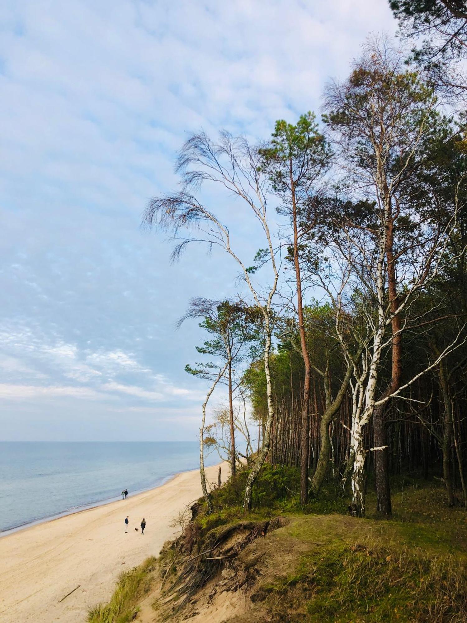 Sea Breeze Apartment จิปโนแวค ภายนอก รูปภาพ